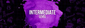 Intermediate Level